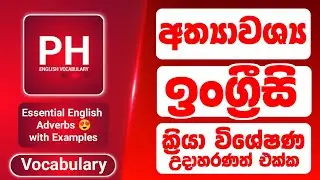 English Vocabulary | Essential English Adverbs with Examples In Sinhala 😍🇱🇰