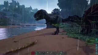 Ultimate Survivor Challenge|Ark Survival Evolved