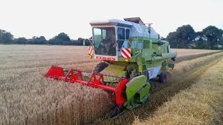 Moisson de blé 2016 | Claas Dominator 76 #Gopro
