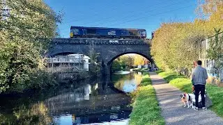 DRS 66431 on &lsquo;Tesco-Liner&rsquo;