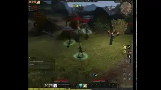 Age of conan gank n spank