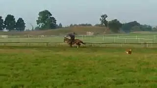 Rivabodiva schooling with Derek Fox