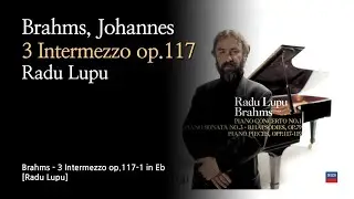 브람스 - 인터메조 Brahms - 3 Intermezzo op.117 [Radu Lupu]