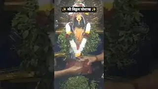 आजचा श्री विठ्ठल पोशाख 🙏🏻🌺🚩 | पंढरपूर | Today's Shri Vitthal Live darshan pandharpur
