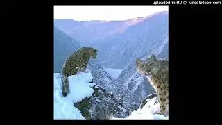 *воздушная* free chill & atmospheric beat (prod. hurtleberry)