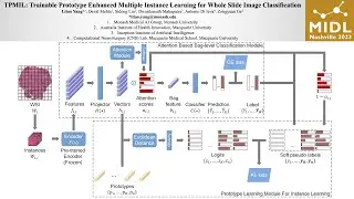 [P189] Trainable Prototype Enhanced Multiple Instance Learning for Whole Slide Image Classification
