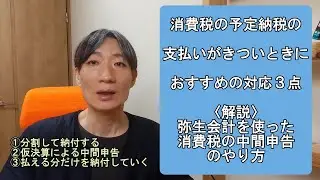 消費税の予定納税の支払いがきついときに、おすすめの対応３点〈弥生会計を使った消費税の中間申告のやり方解説〉