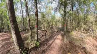 Croom Trail North Loop Hike, 7.8m Loop Trail, Full Walk Part 2