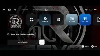 D3d9 problem on ran online using gamehub 