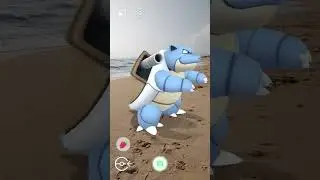 Around Blastoise #pokemon