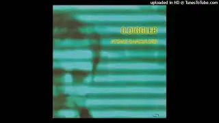 D.Diggler - Midnight Run