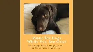 Music for Pets