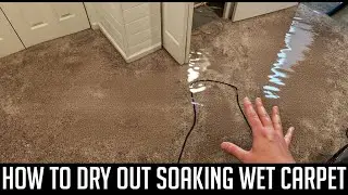 How to Dry Out Soaking Wet Carpet FAST: Step-by-Step Emergency Tutorial