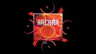 ARCARA - Gunshy