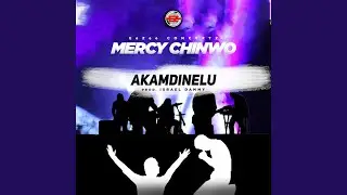 Akamdinelu