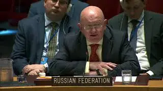 Vassily Nebenzia at the UN Security Council Meeting on United Nations peacekeeping operations
