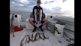 Lake Erie Walleye Jigging 2 Man Limit and more(2024)