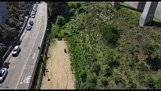 Goats Clearing Bay Bridge ROW