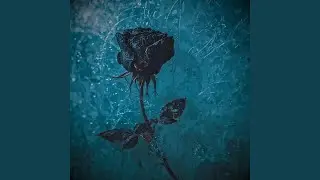 Bleed for the Memory (Acoustic)