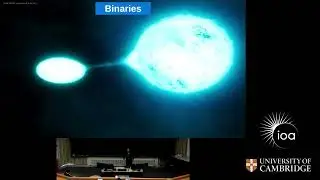 The effect of binary mass transfer on the late evolution, death, and afterlife of massive stars