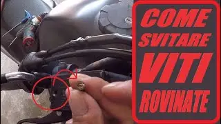 COME SVITARE VITE ROVINATA
