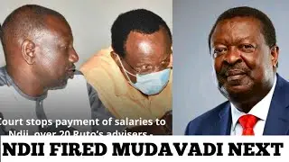 President Ruto Fires David Ndii Musalia Mudavadi Next On The Chopping Board 