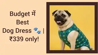 Best quality Dog dresses on messho 😍