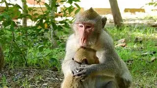 Mom Jane Walking with Baby Janet Who Needs Extra Care