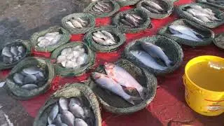 Ibrahim Hydari Fish Market