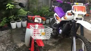Honda Cub X Yamaha DT 125 | C70 EX3 Philippines | DT 125 COLOMBIA | GBOJ | 90's Motorcycle