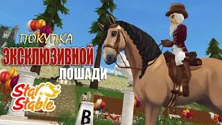 Покупка ЭКСКЛЮЗИВНОЙ ЛОШАДИ и СТИЛЯ | ДЕНЬ ОТКРЫТЫХ ДВЕРЕЙ В КОНЮШНЕ ЮРВИКА | Star Stable