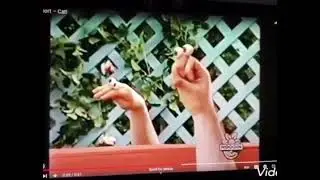 Oobi Short Cat