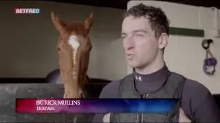 CHELTENHAM FESTIVAL 2017 | WILLIE AND PATRICK MULLINS ON DOUVAN