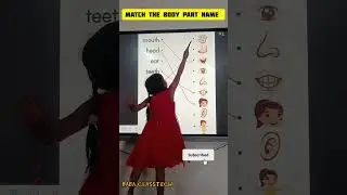 Match the Body Parts! Fun Learning for Kids | Body Parts Name Game #babaclasstech