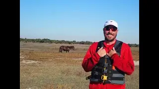 Campground #7:  Fort Clinch State Park, Fernandina Beach, FL, Site #31