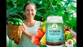 BioGrow Plus биоактиватор роста растений и перчатка
