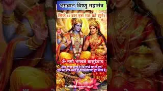 सिर्फ 2 मिनट विष्णु मंत्र सुनो और चमत्कार देखो 🤲🏻🎧 Vishnu Mantra Powerful Benefits