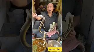 snake in lali changani kachori #foodie #food #streetfood #indianstreetfood