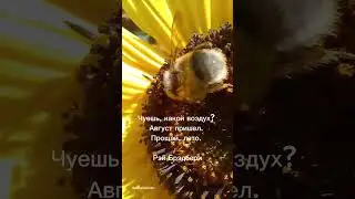 22 августа 2024 г.