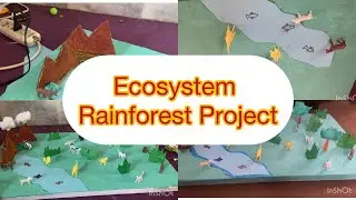 How to make Ecosystem || rainforest project || summer task || 
