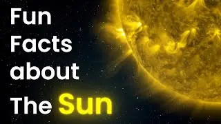 Mind blowing facts about the solar system - Episode 1: The Sun #astronomy #space #solarsystem