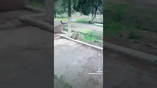 Памятник Александру Гинцбургу в Каахка (Туркменистан)
