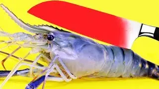 Glowing 1000 Degree KNIFE vs TIGER PRAWN Cooking EXPERIMENT