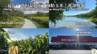周末非常充实的一天：Oak Ridge Corridor conservation reserve 徒步 &bull; 逛Newmarket新开的恒泰超市 &bull; 阿莲农场摘粘玉米 &bull; 简单美味晚餐