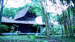 Losari Coffee Plantation & Bamboo Forest