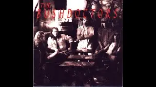 The Bushdoctors - Invisible Line