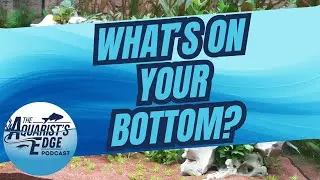 The EASY WAY to Choose the PERFECT Substrate for Your Aquarium