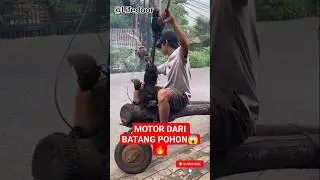 motor unik dari batang pohon‼️#shorts#viralahorts#lucuviral#unik