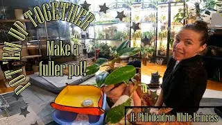 Save Space And Time By Potting Plants Together | Make A Fuller Pot