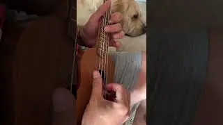 Metallica - one #metallica #ukulele #metal #one